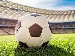 迎来,巨兽,法里德正式,千亿球友会平台,千亿球友会官方网站,千亿球友会登录入口,千亿球友会app下载