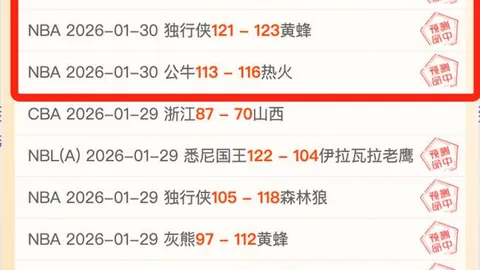 美因茨击败多特，确保保级关键战胜利