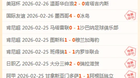 英超双雄及巴萨争抢弗拉霍维奇，尤文估价3000万欧元